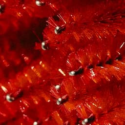 Lash & Brow 3 Pack + Serum — $399